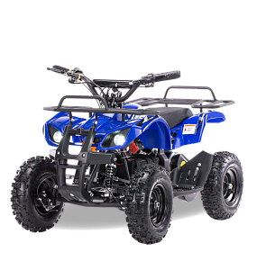 Квадроцикл MOTAX Mini Grizlik Х-16 1000W (Синий)