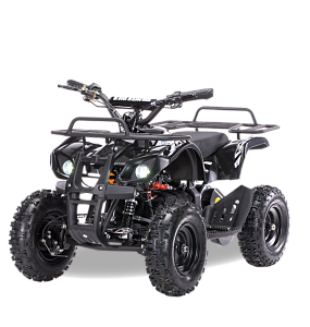 Квадроцикл MOTAX Mini Grizlik Х-16 800W (Черный)