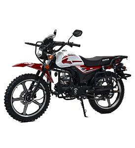 Мопед Motoland Альфа RS Forester 11 (LM48-B) Мопед Motoland Альфа RS Forester 11 (LM48-B)