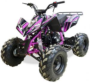 Квадроцикл MOTAX ATV T-Rex Super LUX 125 сс Черно-фиолетовый